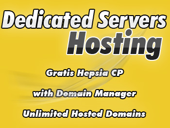 Cheap dedicated server plan